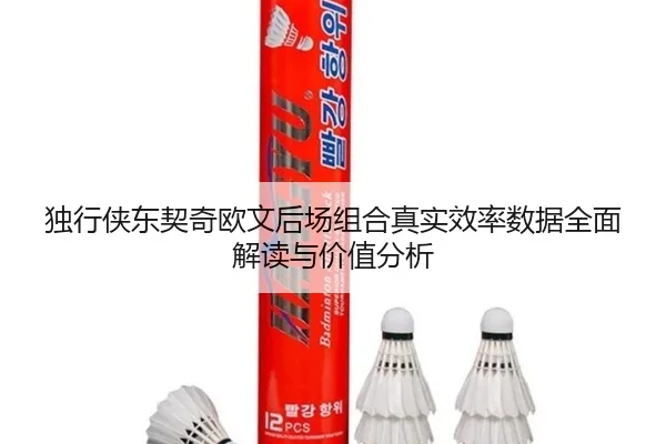 独行侠东契奇欧文后场组合真实效率数据全面解读与价值分析
