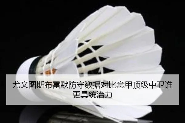 尤文图斯布雷默防守数据对比意甲顶级中卫谁更具统治力 - c7c7·app